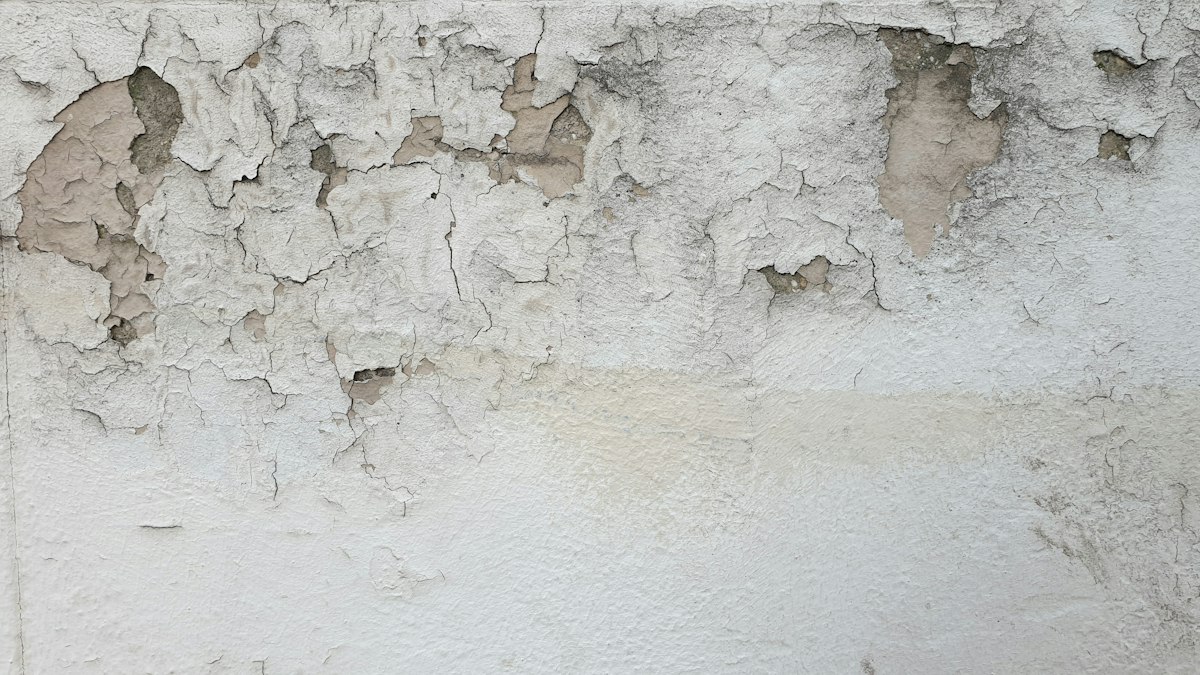 Feuchtigkeit im Haus in Melilla: wie man beweist, wer schuld ist